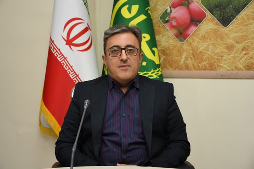 انتصاب معاون مدیریت امور برنامه و بودجه سازمان