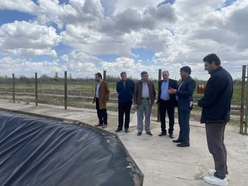 استخرهای ذخیره آب عجب‌شیر در مسیر تبدیل به قطب پرورش ماهی استان