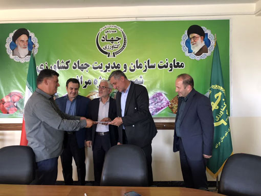 تقدیر رئیس سازمان جهاد کشاورزی آذربایجان شرقی از خبرنگار نمونه بخش کشاورزی خبرگزاری صداوسیما