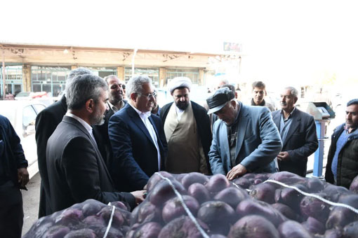 عمده پياز قرمز کشور در استان هاي آذربايجان شرقي و گلستان توليد مي‌شود 