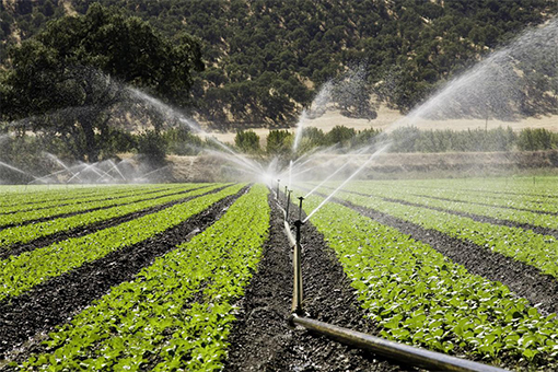 آذربایجان شرقی پیشرو در اجرای سیستمهای نوین آبیاری درسال گذشته