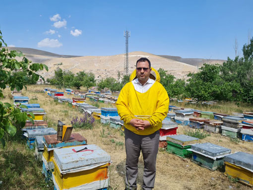 تثبیت جایگاه آذربایجان شرقی در صنعت زنبورداری کشور؛ از تولید ۱۵ هزار تن عسل تا پیشتازی در فرآوری و بسته‌بندی