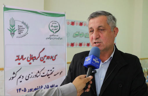 تولید گندم آذربایجان‌شرقی از ۶۵۰ هزار تن عبور کرد