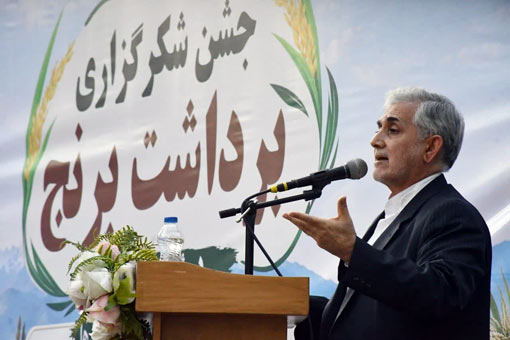 پنج همت گردش مالی برنج کاران در شهرستان میانه